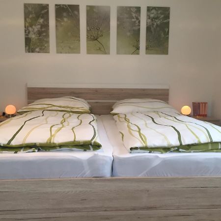 Haus Beate, Fewo Im Bienenparadies Kirchberg  ภายนอก รูปภาพ