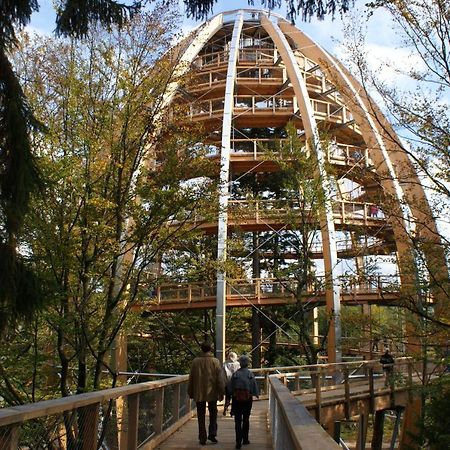 Haus Beate, Fewo Im Bienenparadies Kirchberg  ภายนอก รูปภาพ